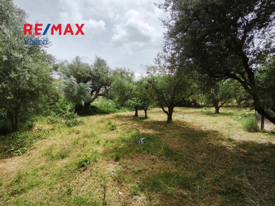 Οικόπεδο 2500 τ.μ., Προς πώληση, Μεσσατίδα, Σαραβάλι - 8
