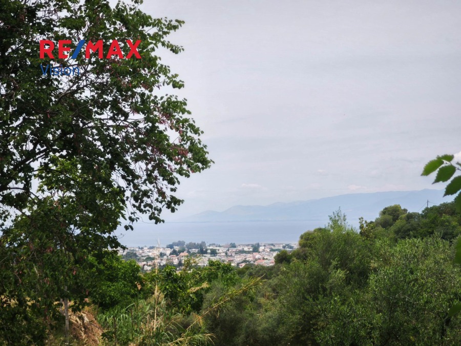 Οικόπεδο 2500 τ.μ., Προς πώληση, Μεσσατίδα, Σαραβάλι - 9