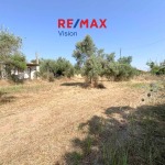 Οικόπεδο 6421 τ.μ., Προς πώληση, Δυτικής Αχαΐας, Νιφοραίικα - 1