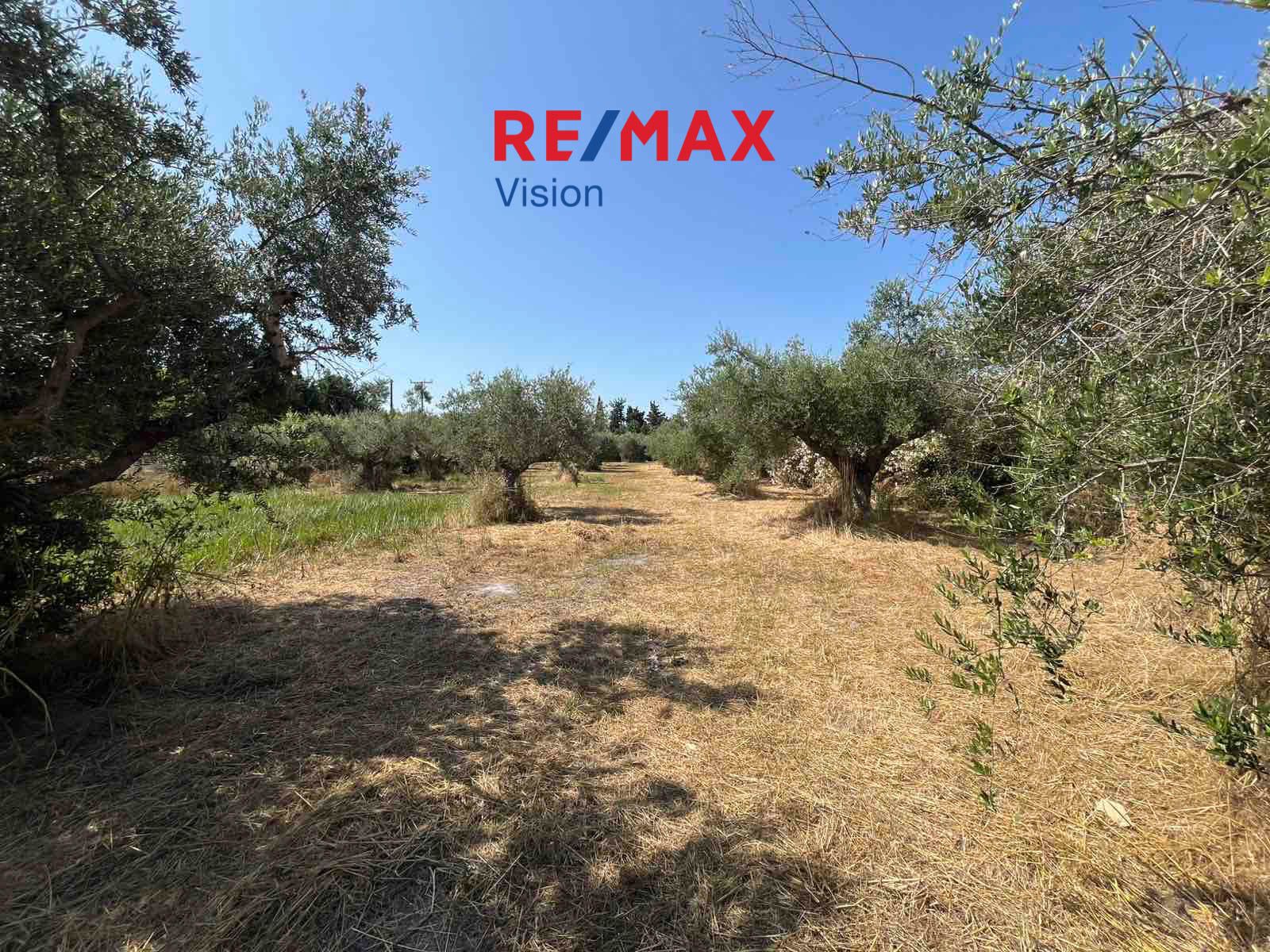 1629176 – 4 Οικόπεδο 6421 τ.μ., Προς πώληση, Δυτικής Αχαΐας, Νιφοραίικα - 4