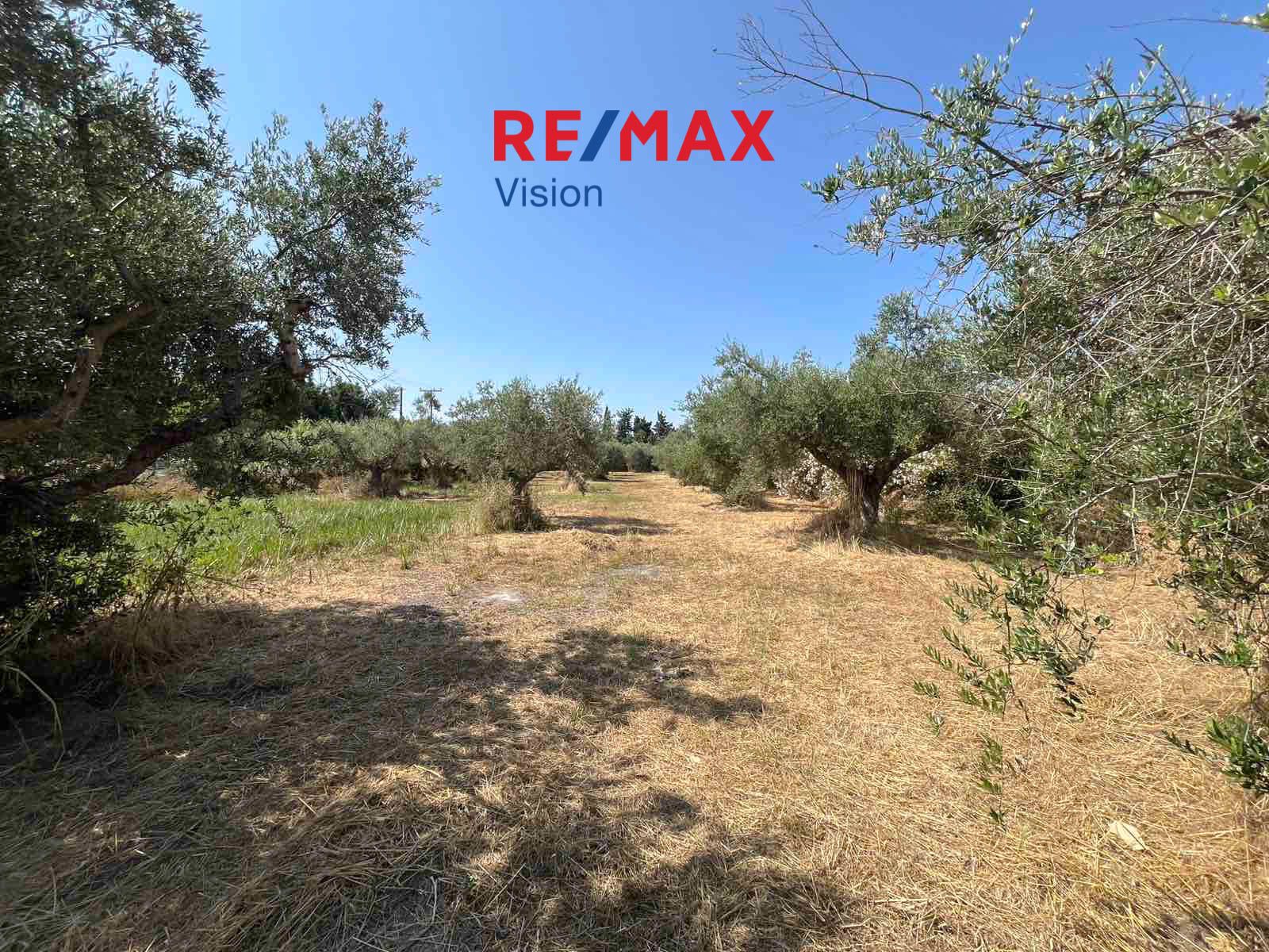 1629176 – 7 Οικόπεδο 6421 τ.μ., Προς πώληση, Δυτικής Αχαΐας, Νιφοραίικα - 7