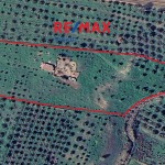 Parcel 30000 m², For sale, Olenia, Filakes - 1