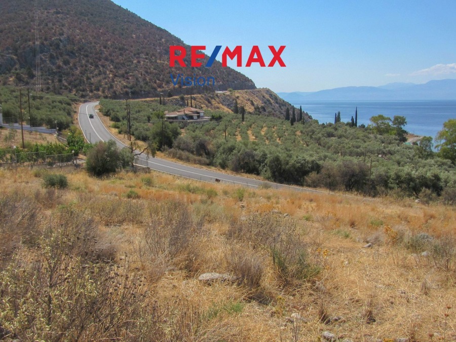 Οικόπεδο 4427,08 τ.μ., Προς πώληση, Ιτέα, Κίρρα - 6
