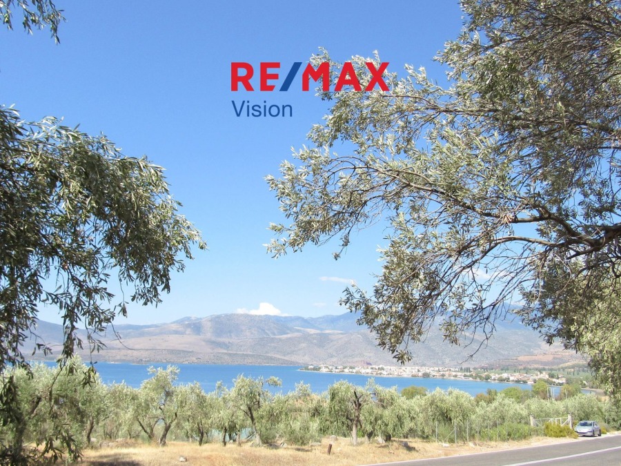1803397 – Οικόπεδο Προς Πώληση, Ιτέα, 6.730,47 τ.μ., €390.000 - 1