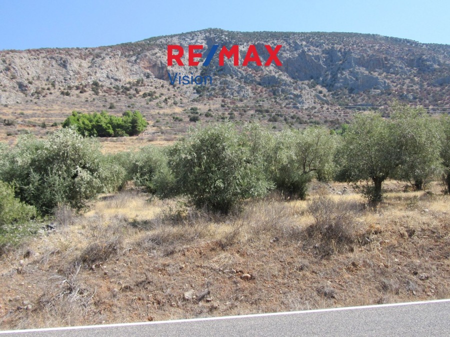 Οικόπεδο 6730,47 τ.μ., Προς πώληση, Ιτέα, Κίρρα - 4