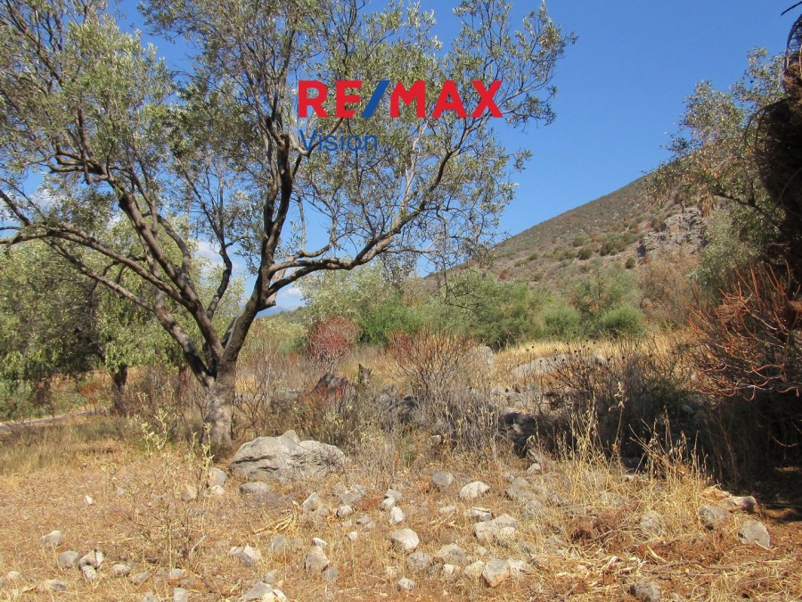 Οικόπεδο 6730,47 τ.μ., Προς πώληση, Ιτέα, Κίρρα - 5