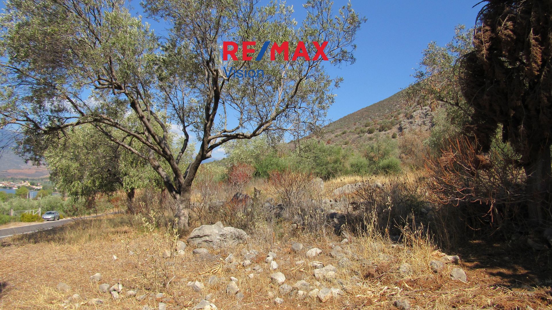 1803397 – 5 Οικόπεδο 6730,47 τ.μ., Προς πώληση, Ιτέα, Κίρρα - 5