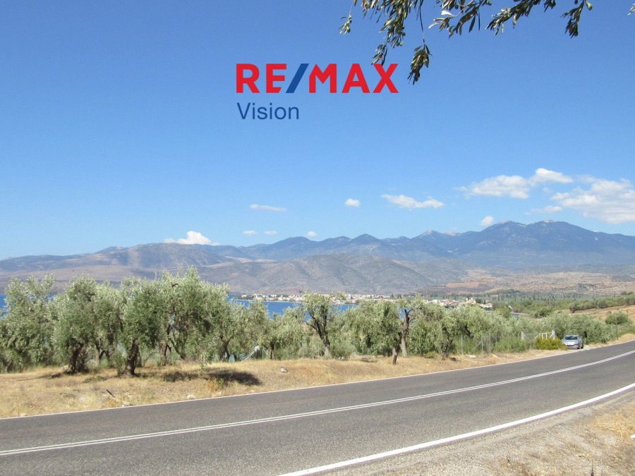 Οικόπεδο 6730,47 τ.μ., Προς πώληση, Ιτέα, Κίρρα - 6