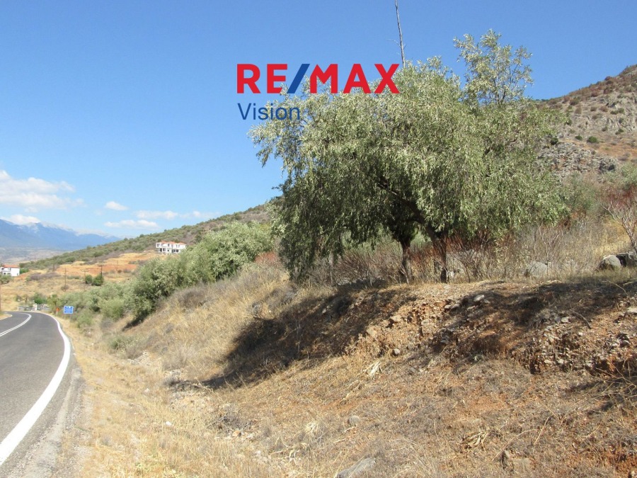 Οικόπεδο 6730,47 τ.μ., Προς πώληση, Ιτέα, Κίρρα - 7