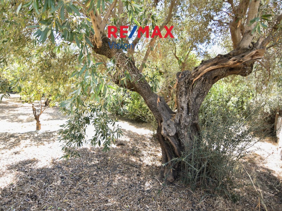 Οικόπεδο 603 τ.μ., Προς πώληση, Πάτρα, Καστελλόκαμπος - 2