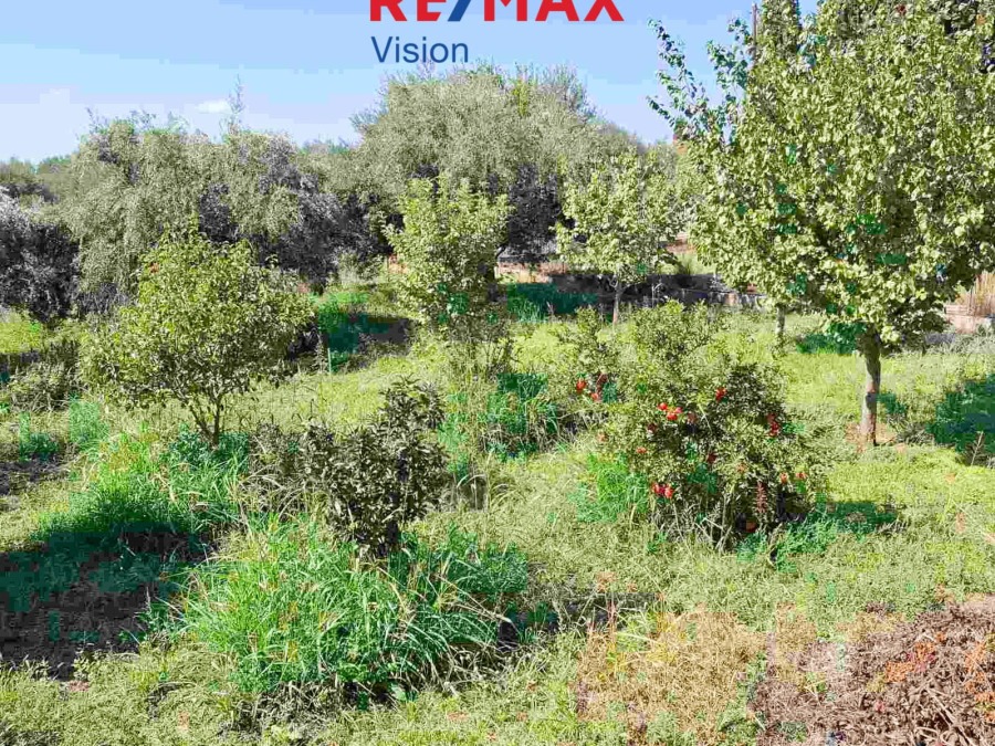 Detached House 150 m², For sale, Fares, Chalandritsa - 6