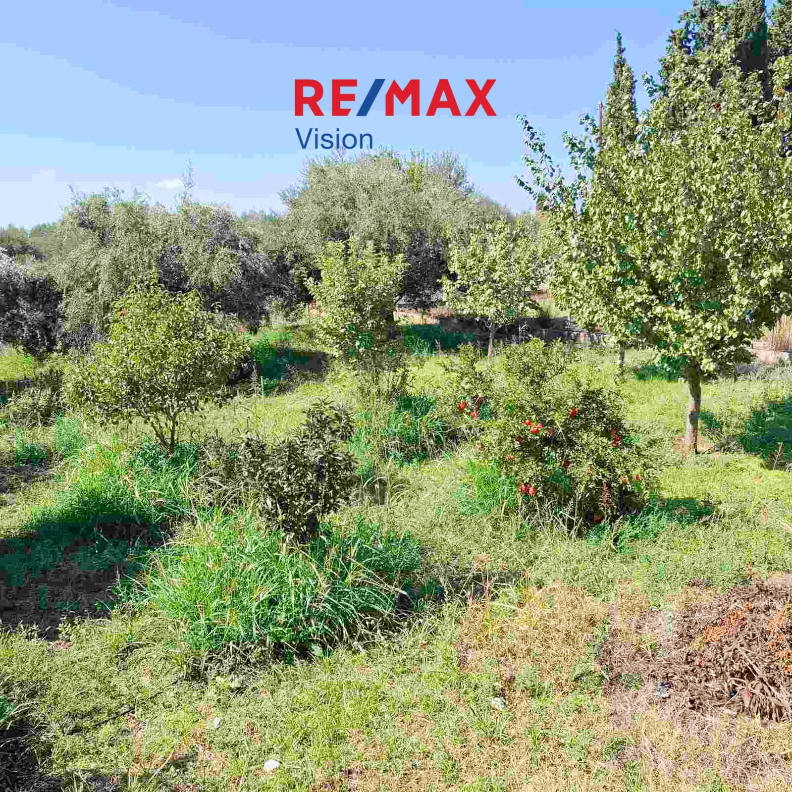 Detached House 150 m², For sale, Fares, Chalandritsa - 6