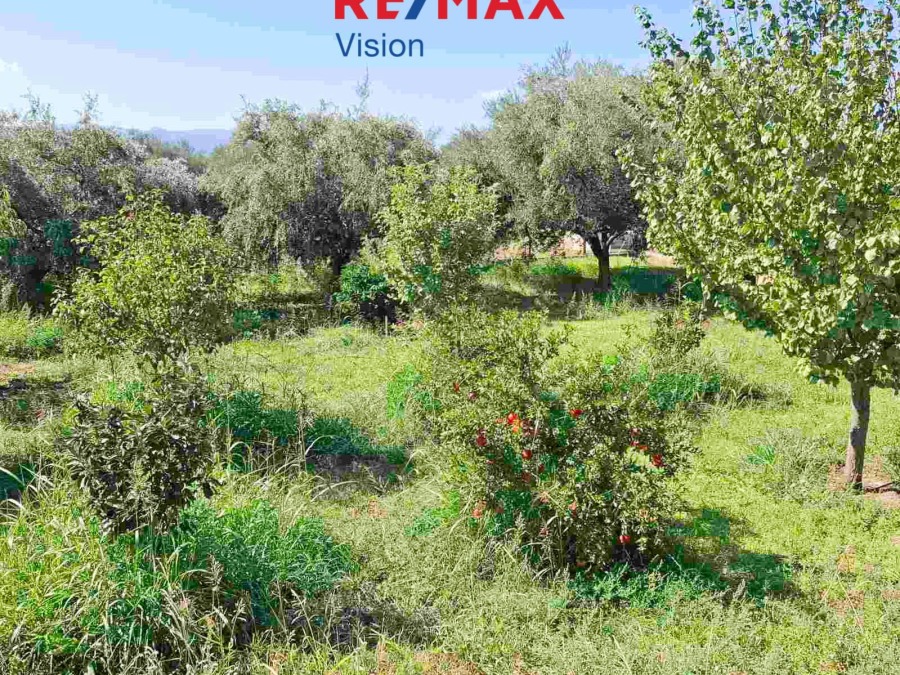 Detached House 150 m², For sale, Fares, Chalandritsa - 7