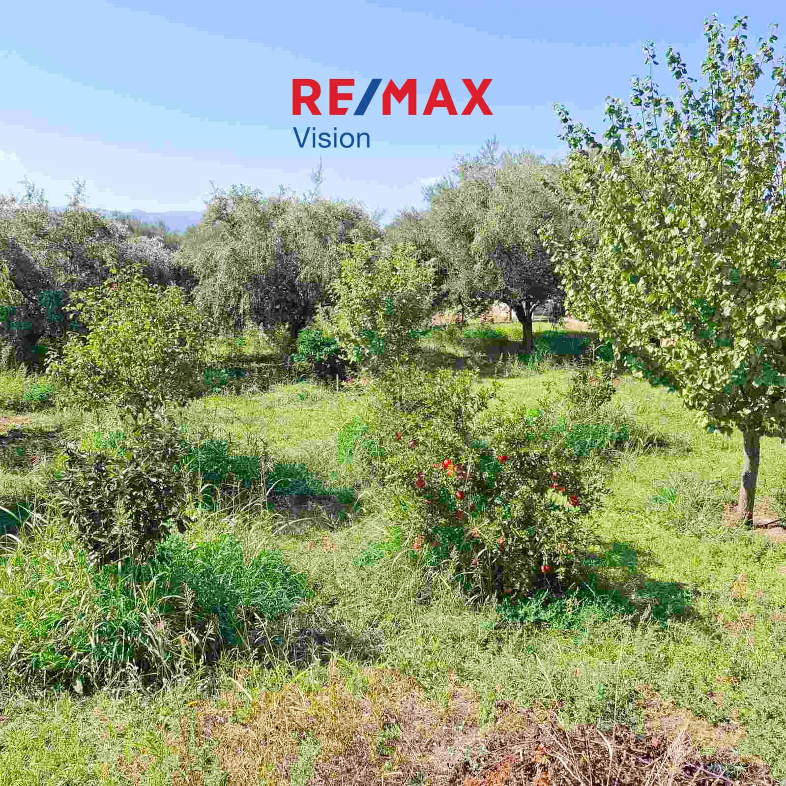 Detached House 150 m², For sale, Fares, Chalandritsa - 7