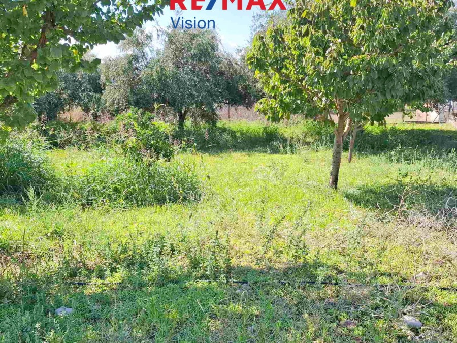Detached House 150 m², For sale, Fares, Chalandritsa - 8