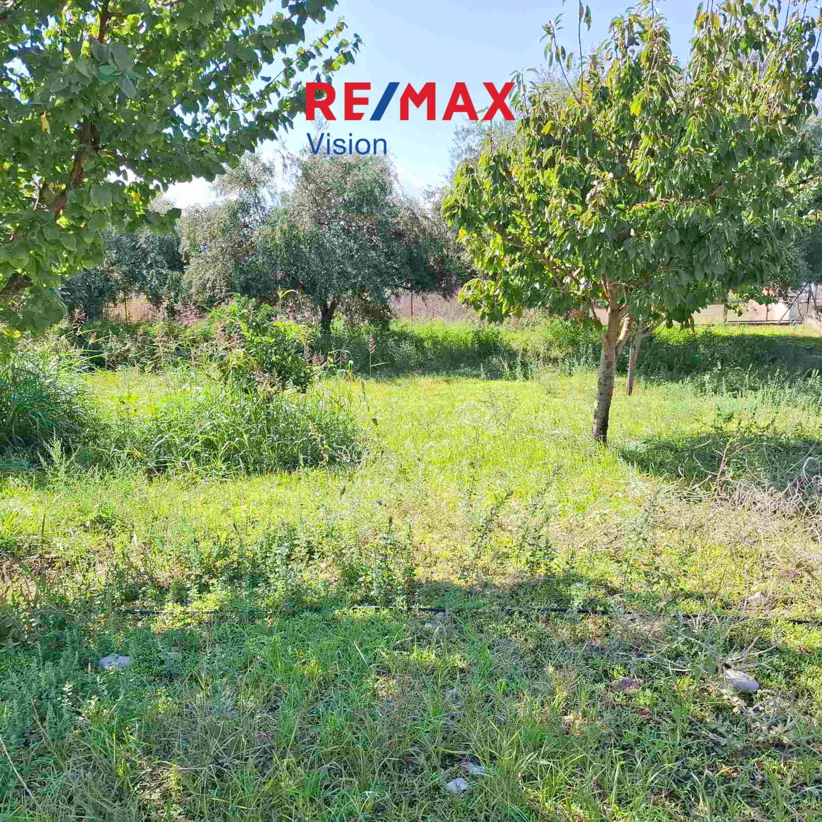 Detached House 150 m², For sale, Fares, Chalandritsa - 8