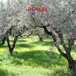 Parcel 1600 m², For sale, Patra (1970063) - 1