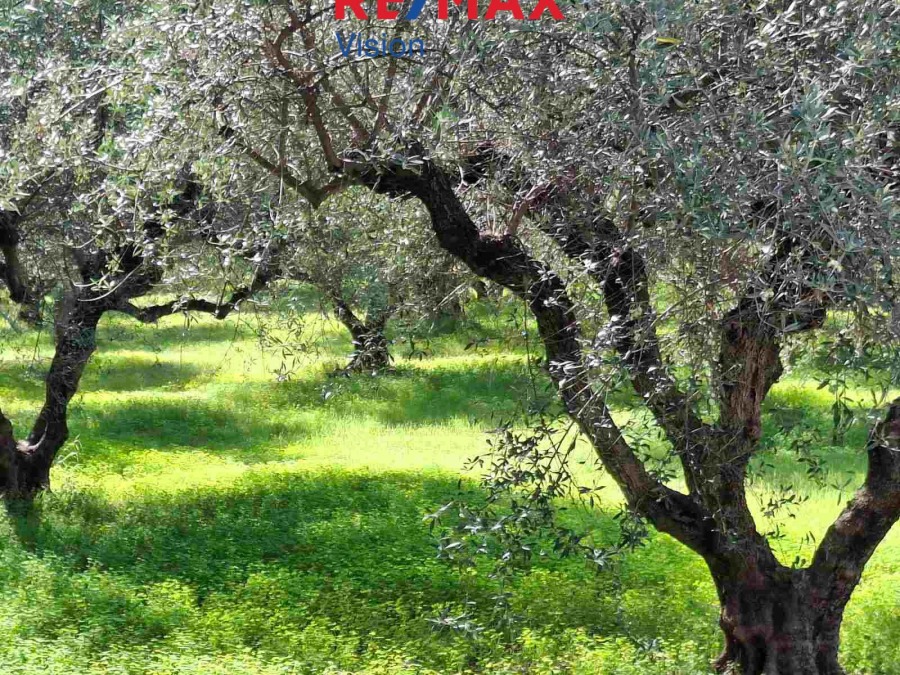 Αγροτεμάχιο 1600 τ.μ., Προς πώληση, Πάτρα - 2