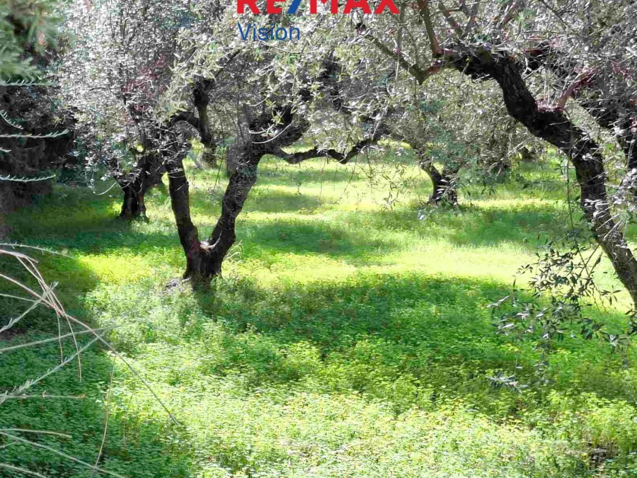 Αγροτεμάχιο 1600 τ.μ., Προς πώληση, Πάτρα - 3