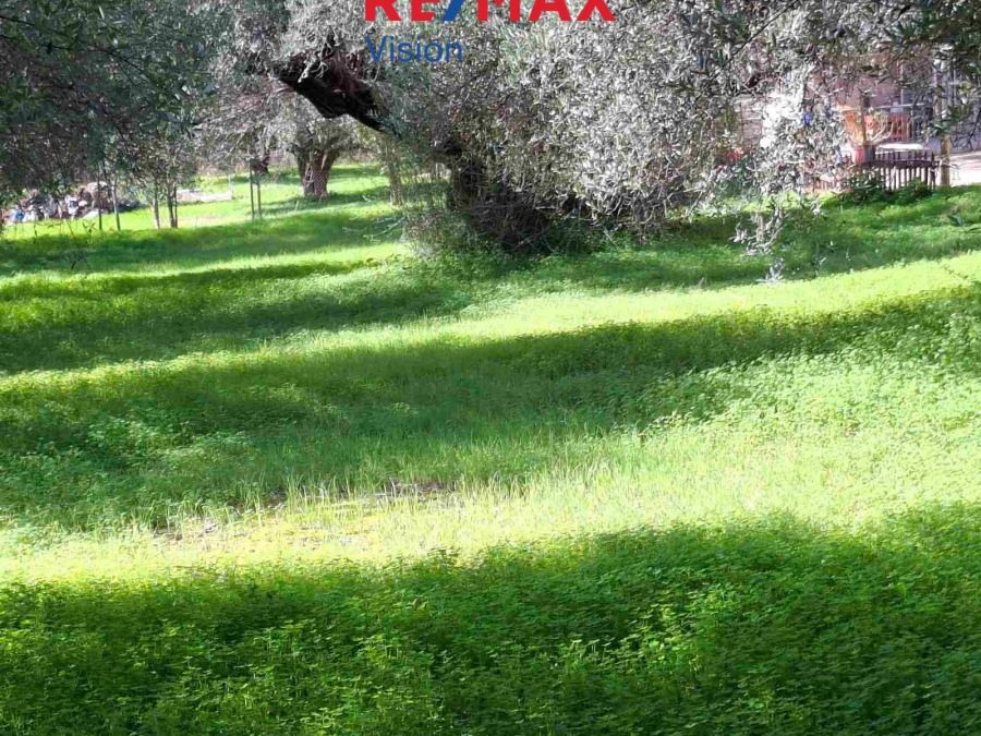Αγροτεμάχιο 1600 τ.μ., Προς πώληση, Πάτρα - 4