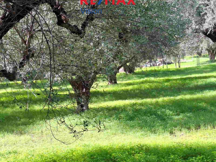 Αγροτεμάχιο 1600 τ.μ., Προς πώληση, Πάτρα - 5