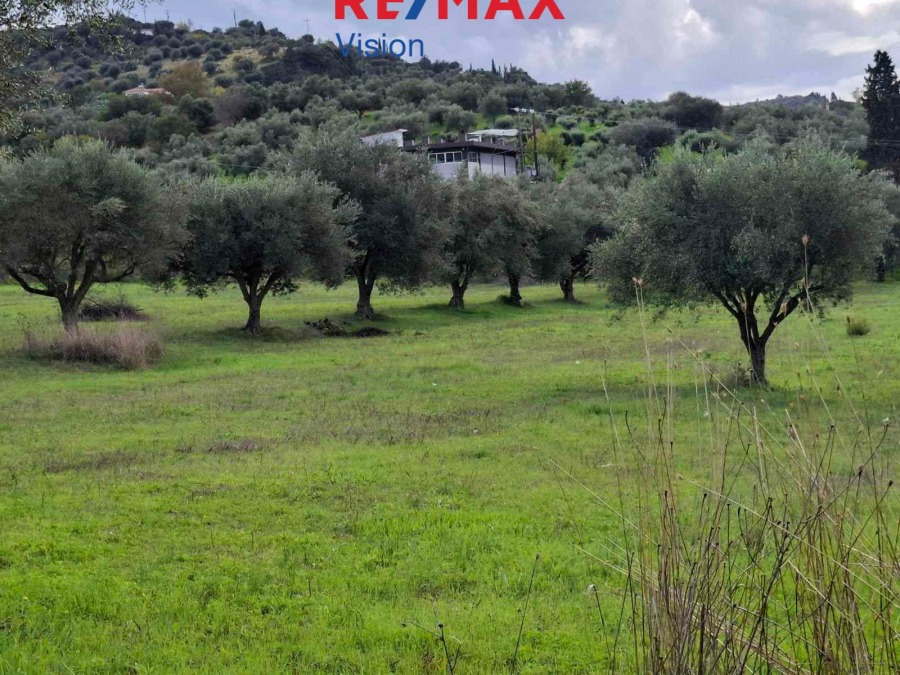 Οικόπεδο 6900 τ.μ., Προς πώληση, Παραλία, Μιντιλόγλι - 5