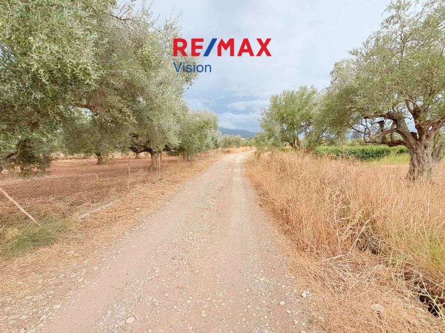 Αγροτεμάχιο 5685,15 τ.μ., Προς πώληση, Φαρές - 7