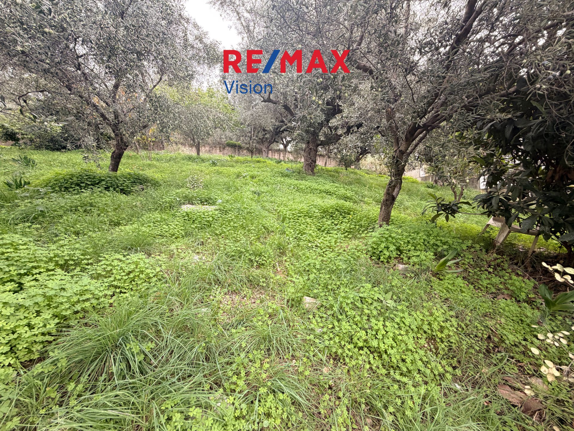 Οικόπεδο 630 τ.μ., Προς πώληση, Πάτρα, Καρυά - 2