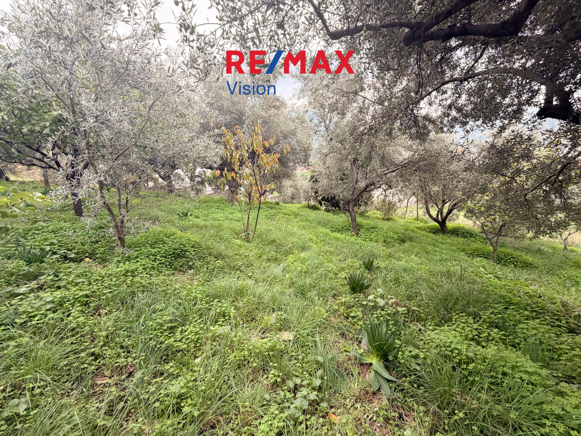 Οικόπεδο 630 τ.μ., Προς πώληση, Πάτρα, Καρυά - 3