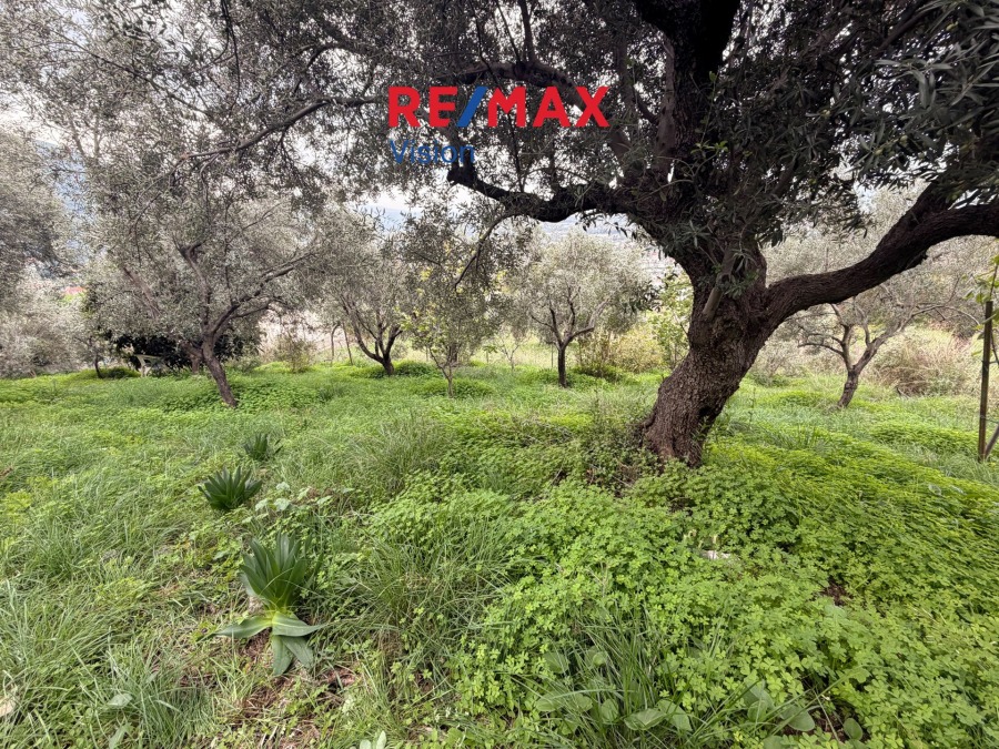 Οικόπεδο 630 τ.μ., Προς πώληση, Πάτρα, Καρυά - 4