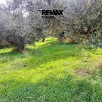 Land Plot 971 m², For sale, Rio, Agios Vasileios (2170546) - 1