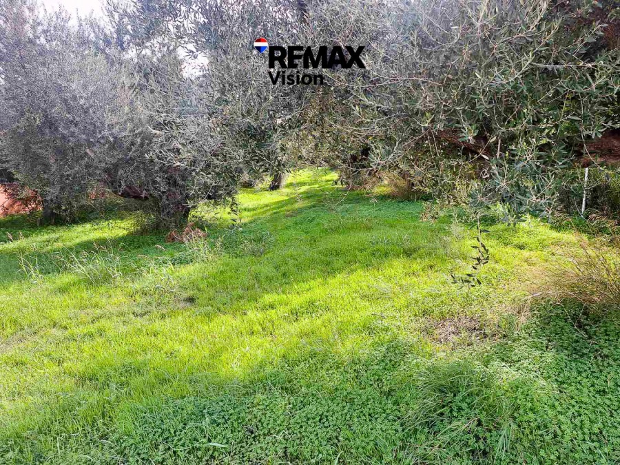 2170546 – Οικόπεδο Προς Πώληση, Ρίο, 971 τ.μ., €95.000 - 1
