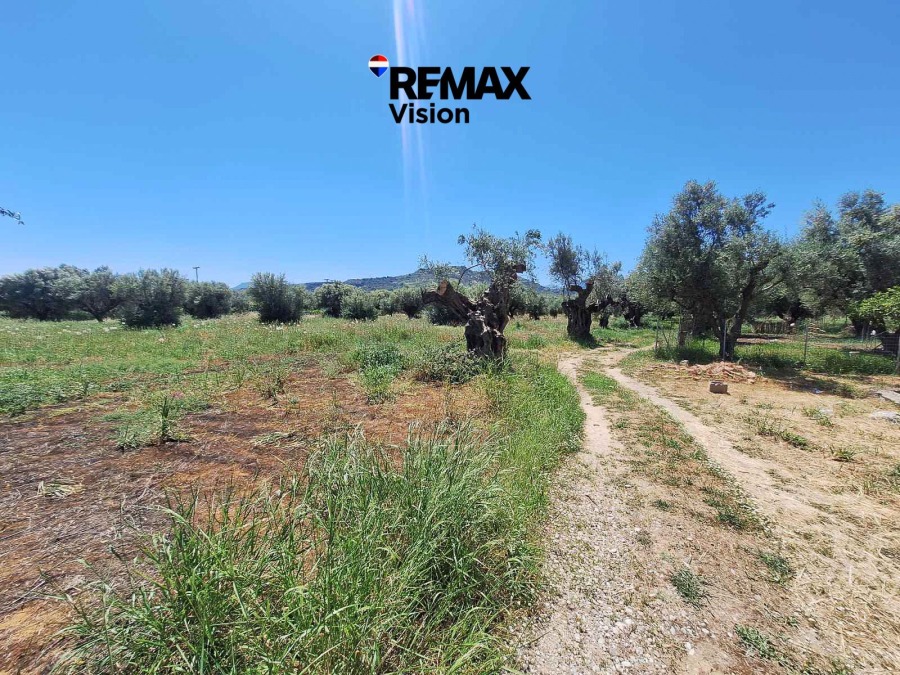 2172637 – Οικόπεδο Προς Πώληση, Αιγιάλεια, 1.600 τ.μ., €58.000 - 1
