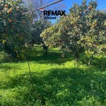 Land Plot 3946.6 m², For sale, Paralia - 1