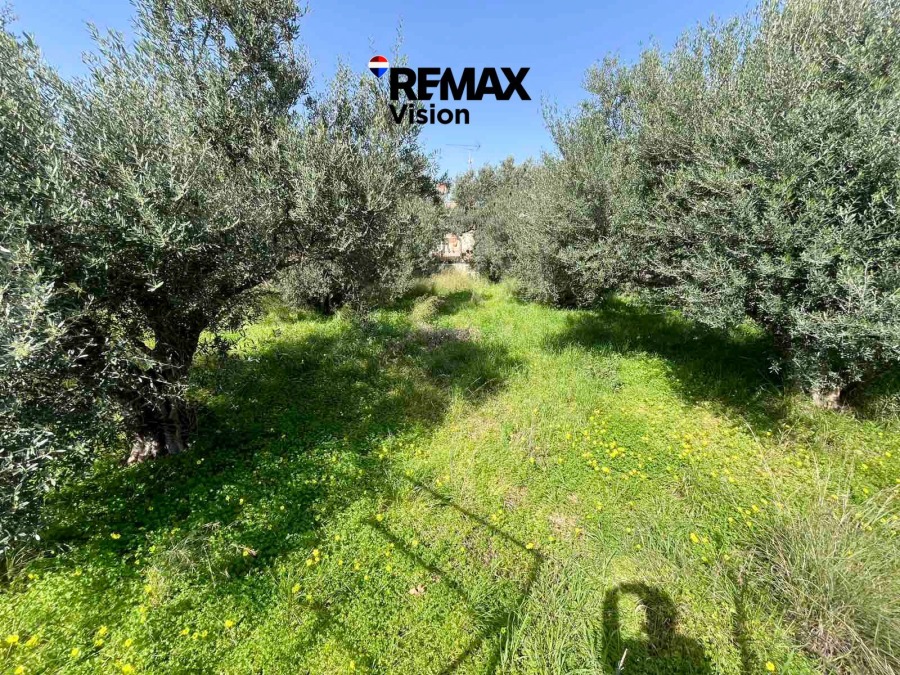 Οικόπεδο 490,93 τ.μ., Προς πώληση, Ρίο, Ακταίο - 3