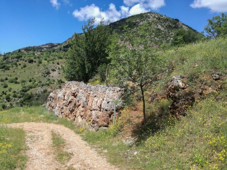 Οικόπεδο 644 τ.μ., Προς πώληση, Ακράτα, Βουνάκι - 10