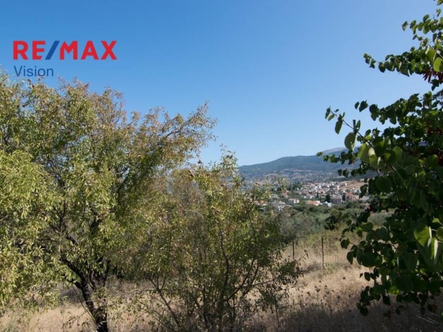 Οικόπεδο 929 τ.μ., Προς πώληση, Πάτρα - 8