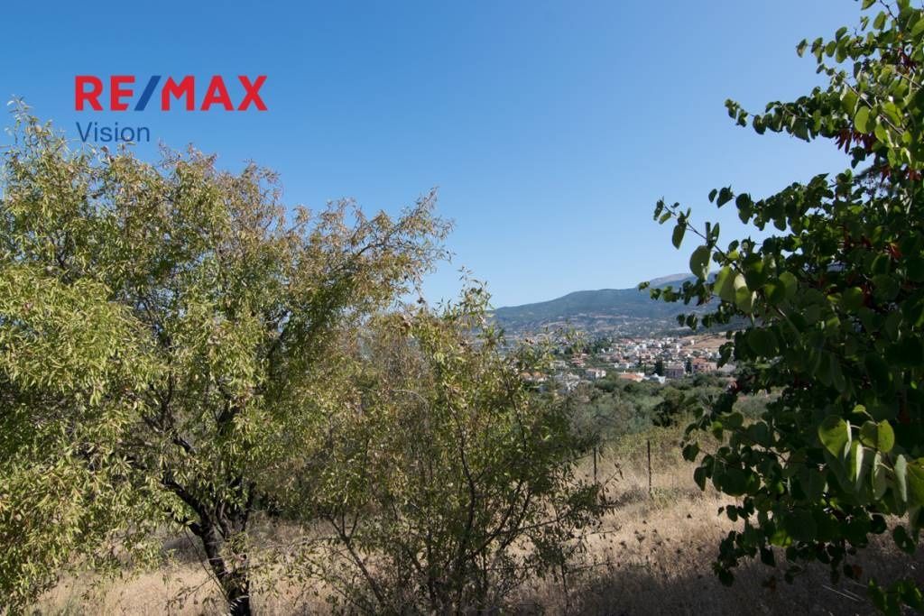 541477 – 8 Οικόπεδο 929 τ.μ., Προς πώληση, Πάτρα - 8