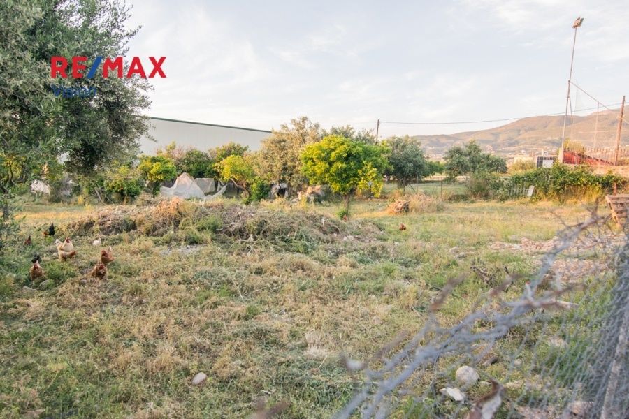 Οικόπεδο 600 τ.μ., Προς πώληση, Μεσσατίδα, Οβριά - 3