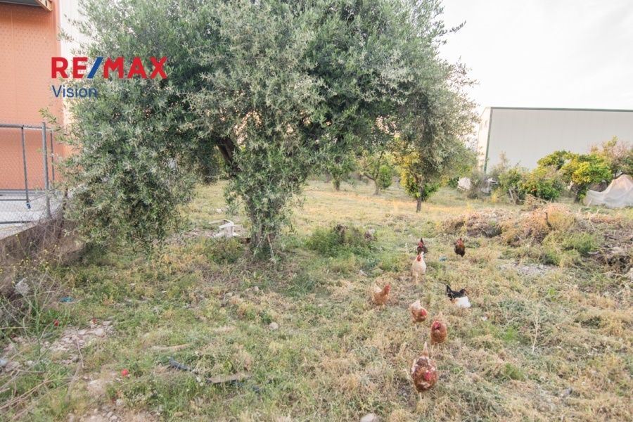 Οικόπεδο 600 τ.μ., Προς πώληση, Μεσσατίδα, Οβριά - 4
