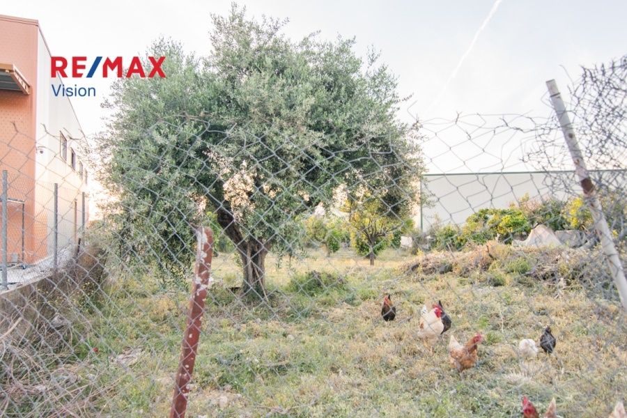 Οικόπεδο 600 τ.μ., Προς πώληση, Μεσσατίδα, Οβριά - 5