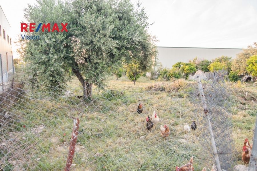 Οικόπεδο 600 τ.μ., Προς πώληση, Μεσσατίδα, Οβριά - 6