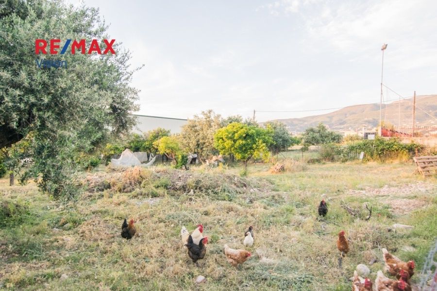 Οικόπεδο 600 τ.μ., Προς πώληση, Μεσσατίδα, Οβριά - 7