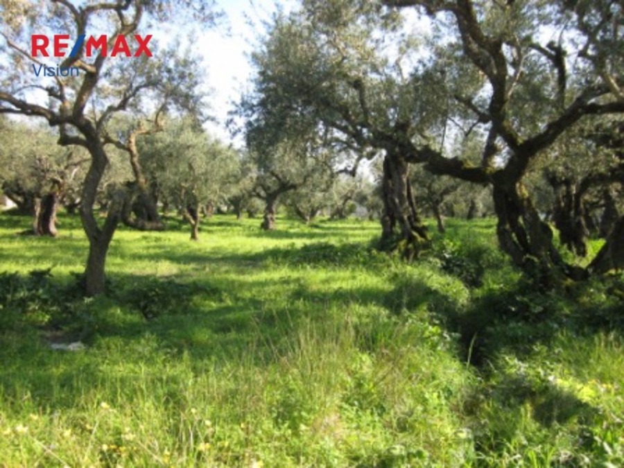 (Προς Πώληση) Αξιοποιήσιμη Γη Οικόπεδο || Ν. Ζακύνθου/Λαγανάς – 2.645 τ.μ, 180.000€ - 1