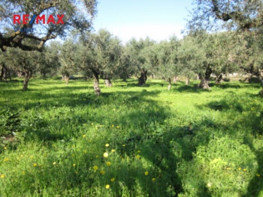 Οικόπεδο 2645 τ.μ., Προς πώληση, Λαγανάς, Καλαμάκι - 2