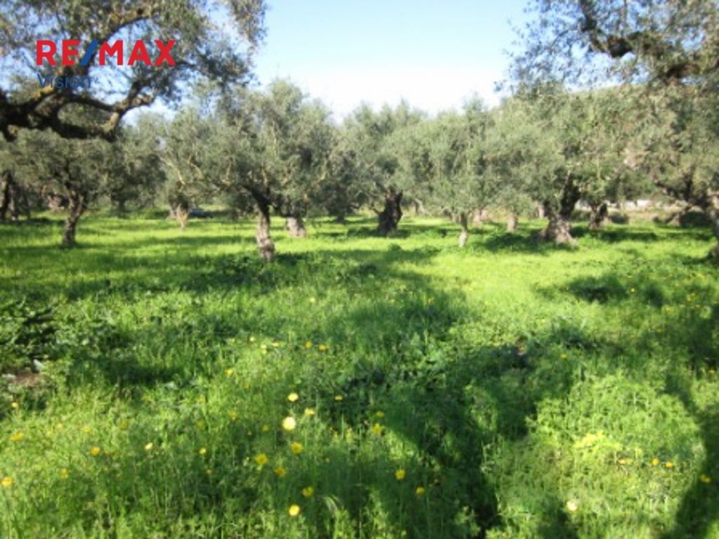 542138 – 2 Οικόπεδο 2645 τ.μ., Προς πώληση, Λαγανάς, Καλαμάκι - 2