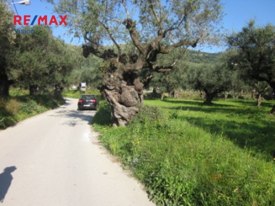 Οικόπεδο 2645 τ.μ., Προς πώληση, Λαγανάς, Καλαμάκι - 3
