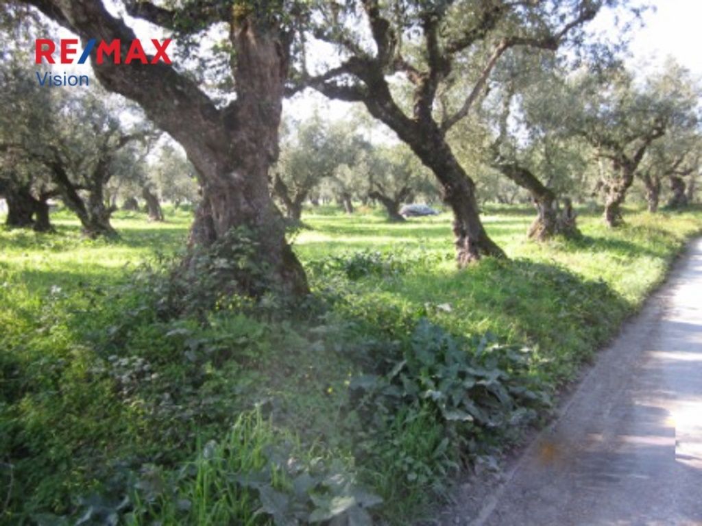 542138 – 4 Οικόπεδο 2645 τ.μ., Προς πώληση, Λαγανάς, Καλαμάκι - 4