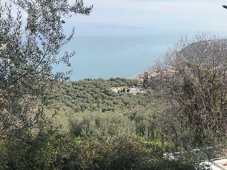 Οικόπεδο 2145,6 τ.μ., Προς πώληση, Ακράτα, Πλάτανος - 5