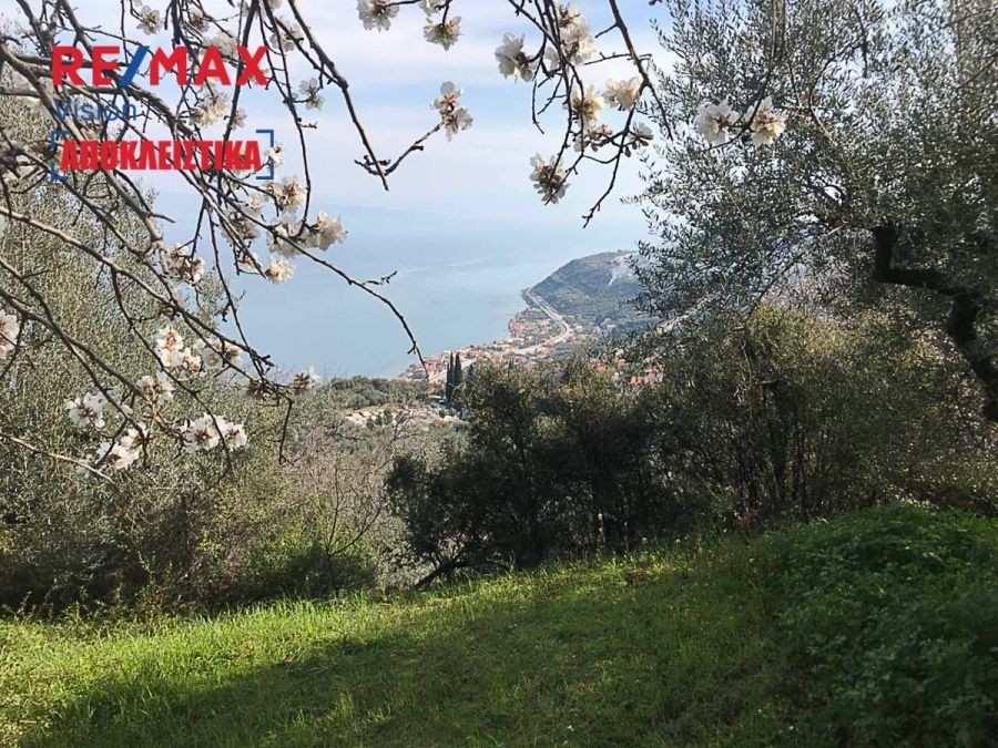 Οικόπεδο 2145,6 τ.μ., Προς πώληση, Ακράτα, Πλάτανος - 8